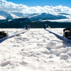 Hallbjønnsekken - Heiskort - Barn